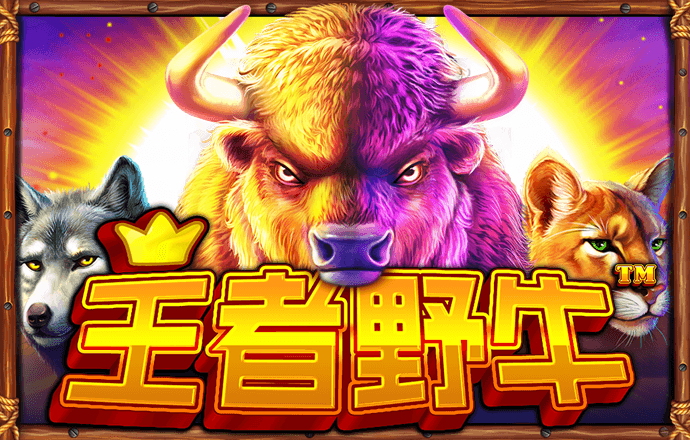 黄金网站app软件下载3.0版本